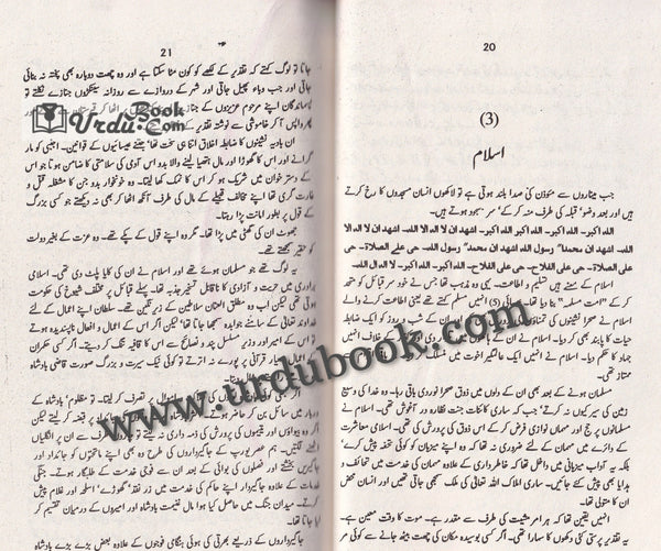 Salahuddin Ayubi - صلاح الدین ایوبی – URDU BOOK